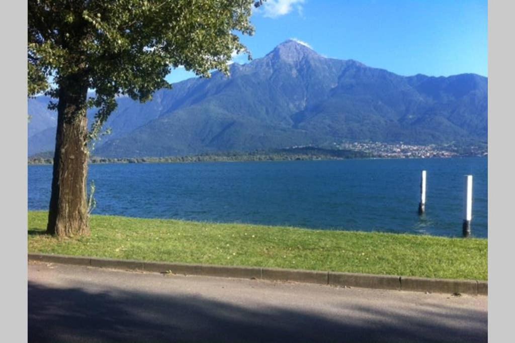 Favoloso Appartamento Fronte Lago, Gera Lario Exterior foto